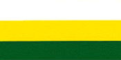 Bandera de Guayanilla
