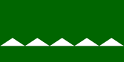 Bandera de Salinas